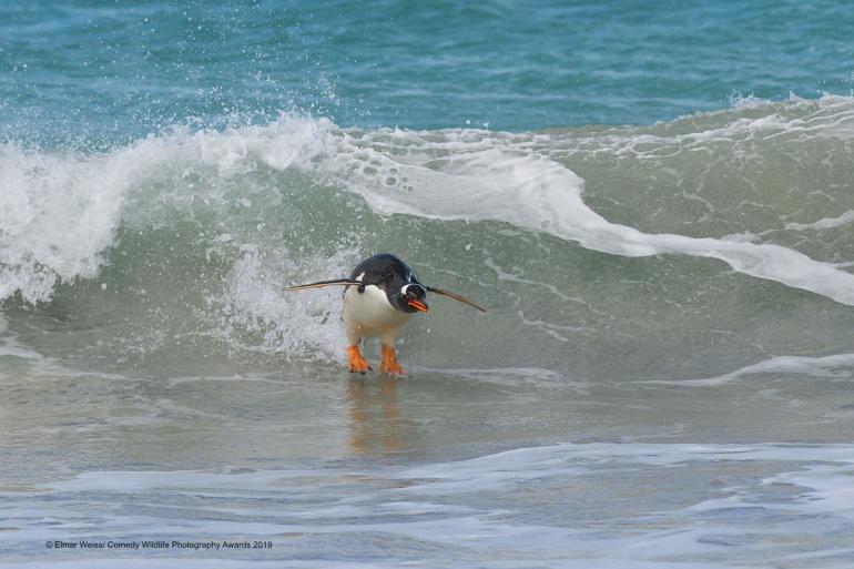 Surfing….South Atlantic Style!