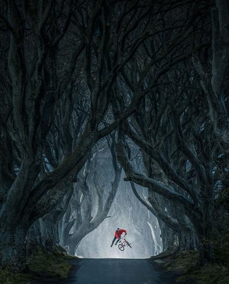 Masterpiece by EyeEm: Lorenz Holder, Deutschland und sein Bild von dem „fliegenden“ BMX-Profi Senad Grosic in der magischen Buchenallee Dark Hedges in Nordirland.