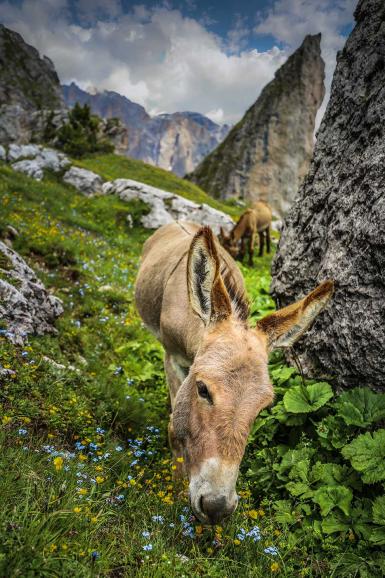 Canon EOS 6D Mark II | EF 4/16-35mm | 1/400s | F/4 | ISO 100