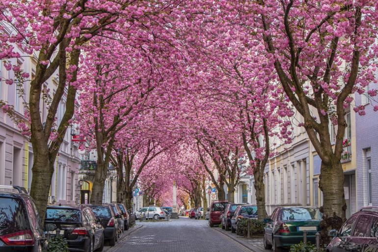 Heerstraße in Bonn