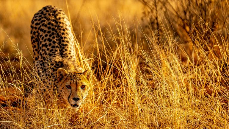 Videoreihe: Colourclass Namibia - Faszination Fotosafari in Afrika