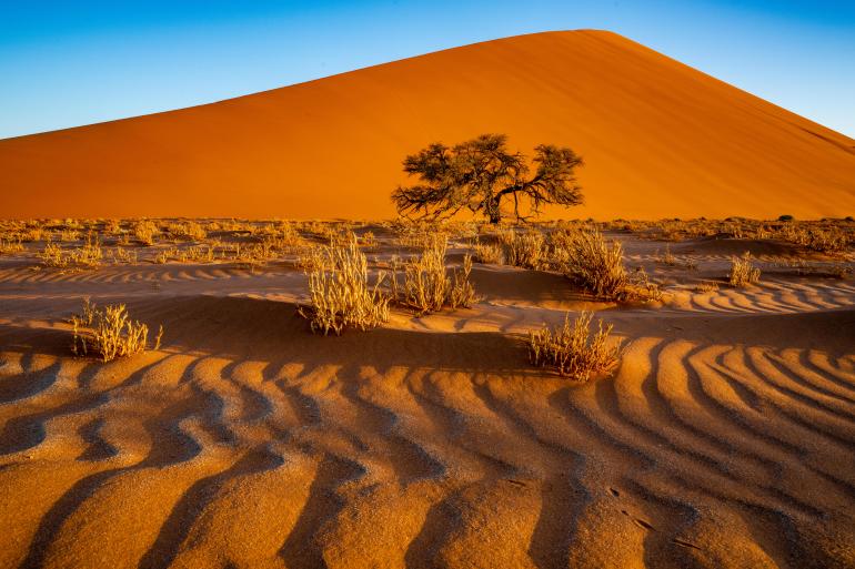 Videoreihe: Colourclass Namibia - Faszination Fotosafari in Afrika