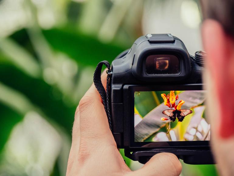 Fotografieren für Kinder: 10 Ideen, um beschäftigt zu bleiben