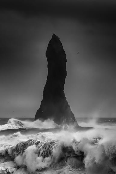 Nikon D850 | Nikkor 2,8/70-200 mm | 1/800 s | F/7,1 | ISO 1600