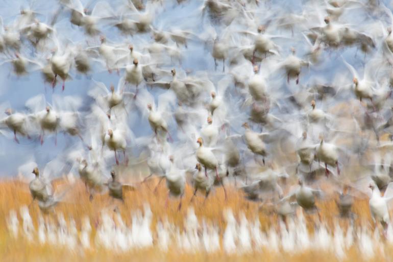 Das ist der GDT Naturfotograf des Jahres 2020