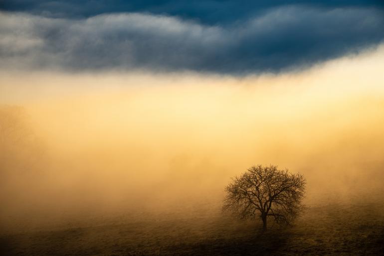 Das ist der GDT Naturfotograf des Jahres 2020