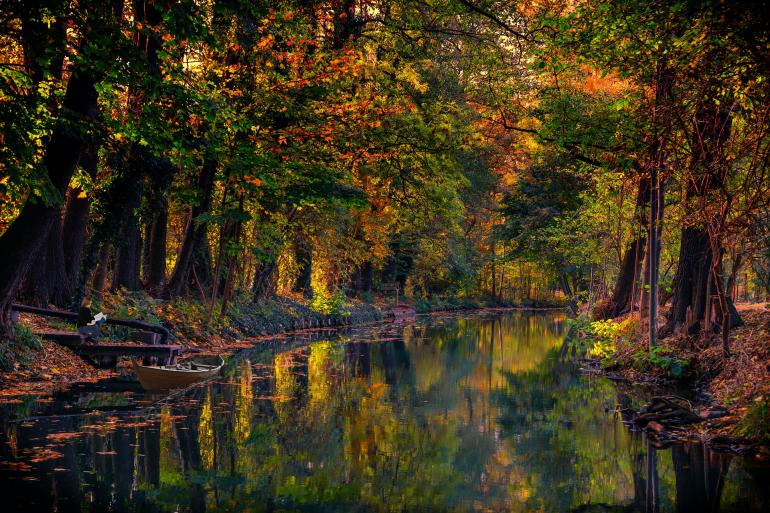 Spreewald, Brandenburg