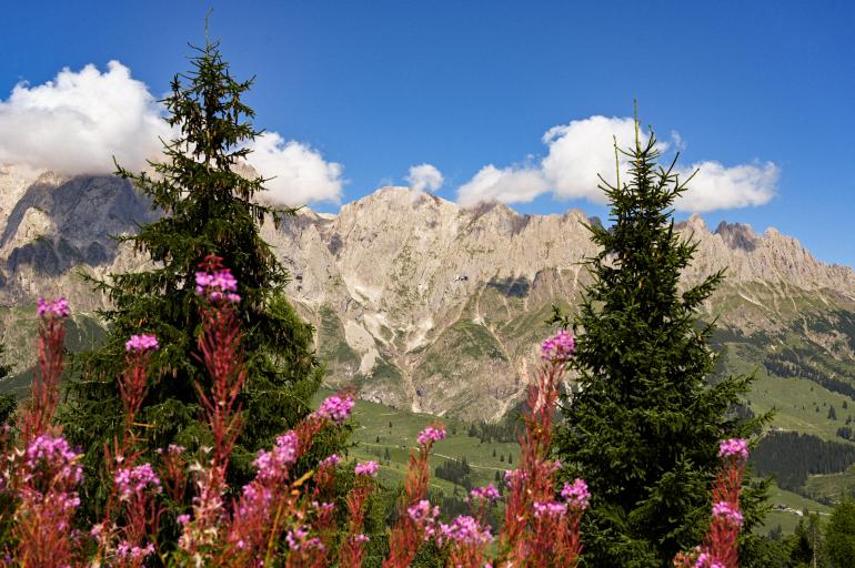 Reiseziele für Fotografen: Die schönsten Fotospots in Österreich