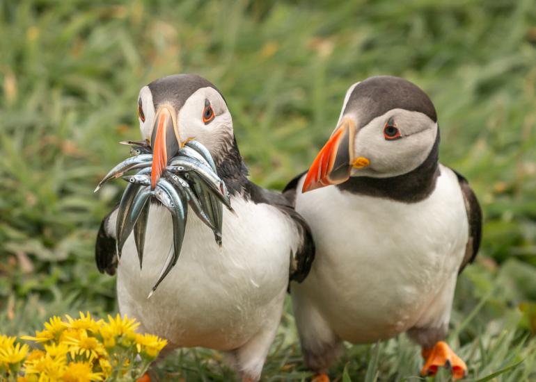 Seriously, would you share some | Highly Commended Winners 2020