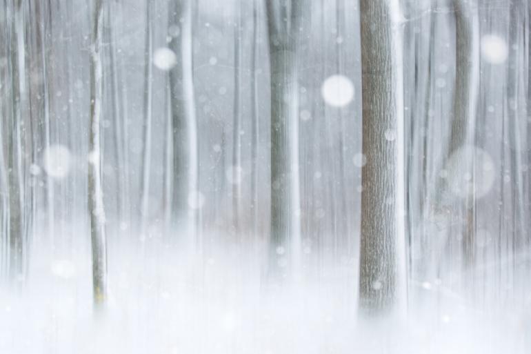 Im Gegensatz zu Aufnahmen im dunklen Nadelwald wirkt das Foto insgesamt heller und leichter. Die Schneeflocken erscheinen durch die Offenblende recht groß.