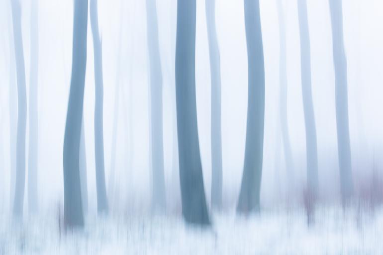 Nebel und Schnee tragen zu einer mystischen und ruhigen Bildwirkung bei. Eine schnelle Wischbewegung abstrahiert die Baumstämme.