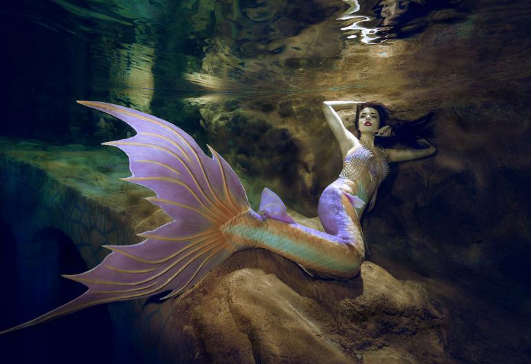 Traumhafte Unterwasserfotos mit Profi-Nikon-Equipment