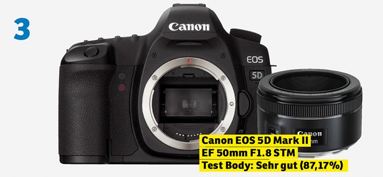 Test Body: Sehr gut (87,17 %)