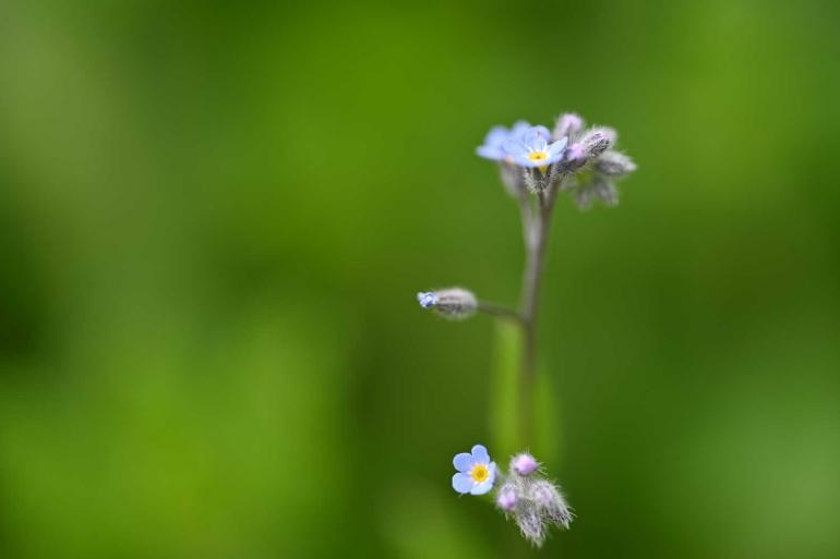 Das Nikkor Z liefert im Test eine herausragende Leistung. Dieses Foto ist mit einem Vorserienmodell an der Nikon Z 7II entstanden.