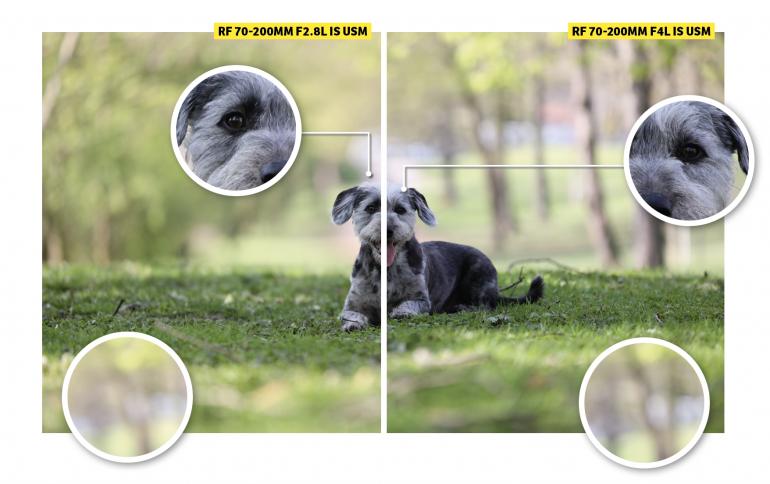 Keine Frage: Beide Objektive stellen Motive, wie unseren Bürohund Sancho, wunderbar frei. Das Bokeh beider Zooms kann sich sehen lassen. Bei Offenblende wirkt der Hintergrund des f/2,8-Zooms (links) im Vergleich etwas weicher und harmonischer.