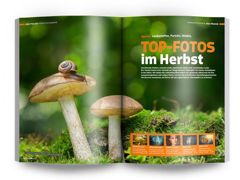 Top-Fotos im Herbst