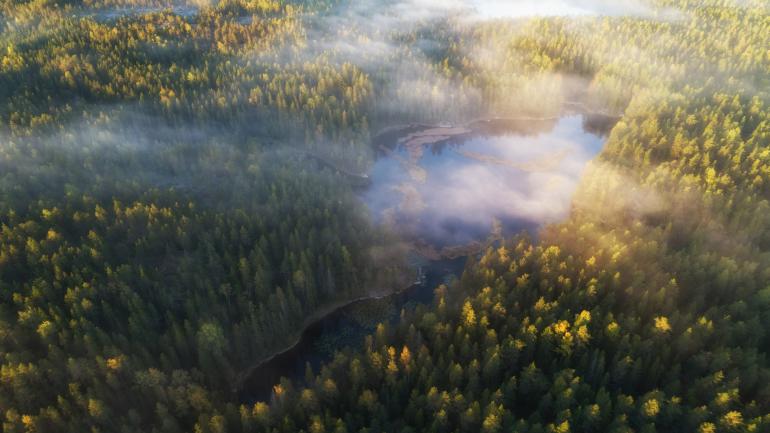 Fotodrohnen haben die Möglichkeiten der Natur- und Landschaftsfotografie revolutioniert. Fotos und Videos, die bis vor wenigen Jahren nur von ausgebildeten Piloten mit hochpreisigen Industriedrohnen möglich waren, sind dank neuer Technik sogar für Laien umsetzbar.