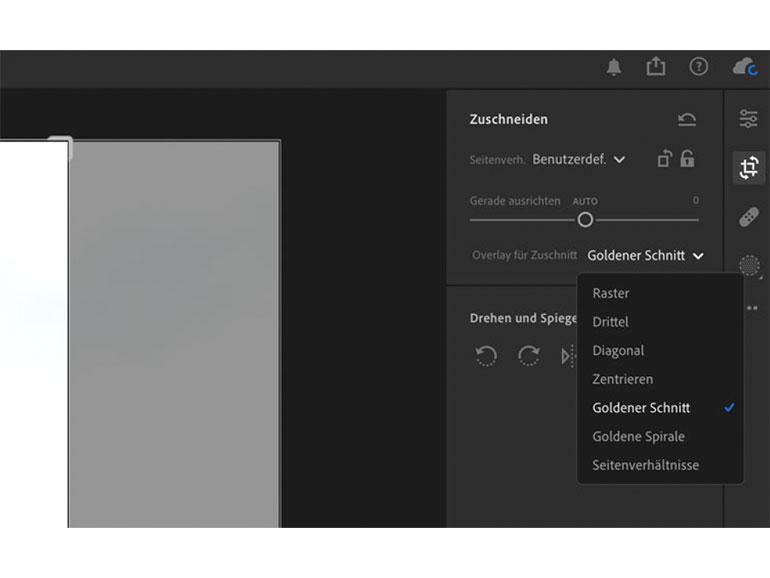 Lightroom: Die Freistellungsüberlagerungen befinden sich logisch angeordnet im Zuschneiden-Bereich.