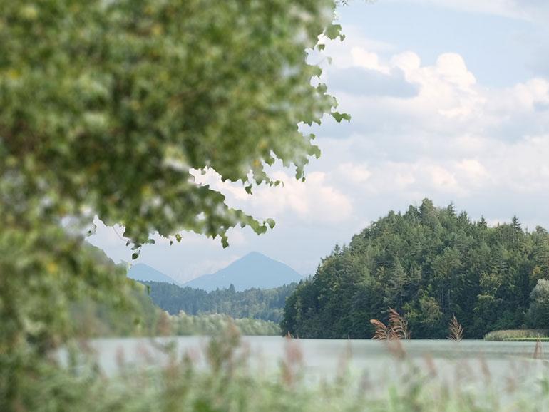 Ist die Schärfentiefe im Motiv bereits verringert (s. Foto), sind die Ergebnisse des Filters nicht ausgereift