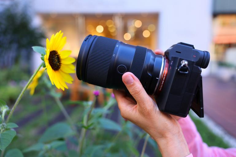 Mit einer Naheinstellgrenze von 180mm eignet sich das Objektiv auch für detaillierte Aufnahmen einer Sonnenblume.