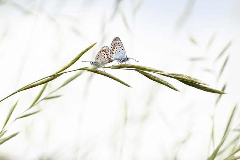 Faszinierende Tierwelten: DigitalPHOTO, Platz 2