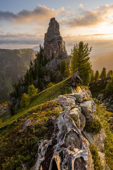 Felszahn an der Baumgrenze: Die schroffen Gebirge der Innerschweiz bieten zahlreiche Motivmöglichkeiten für Tobias Ryser. | Nikon Z 7 | 18mm | 1/15 s | f/13 | ISO 64