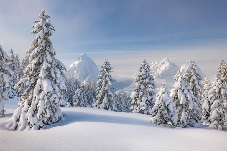 Winterland: Natürlich finden sich auch Schneemotive im Portfolio von Tobias Ryser – eine einzigartige Atmosphäre. | Nikon D850 | 40mm | 1/50 s | f/11 | ISO 64
