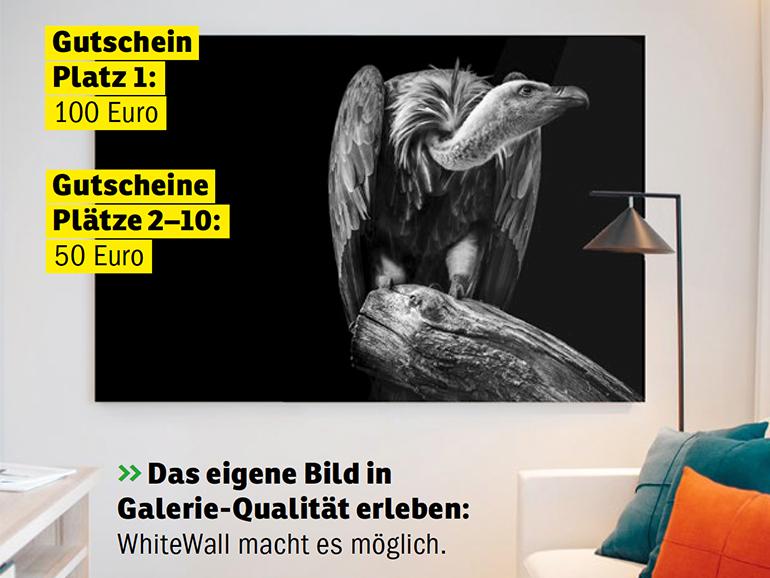 Das eigene Bild in Galerie-Qualität erleben: WhiteWall macht es möglich.