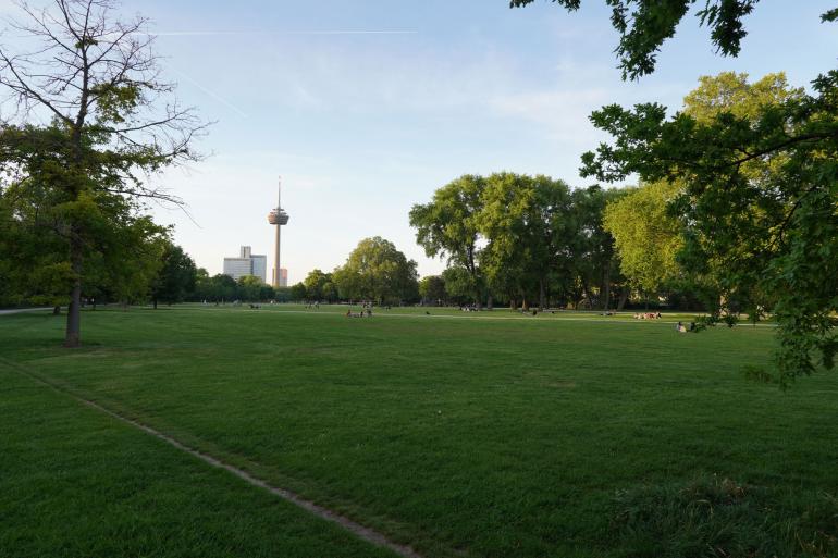 Dank Ausstattungsmerkmalen wie der stufenlosen Blendeneinstellung wird der Videofokus des neuen 15mm-Objektivs schnell klar. Das Fotografieren macht aber mindestens genauso viel Spaß. 15mm | 1/80 s | f/5,6 | ISO 100