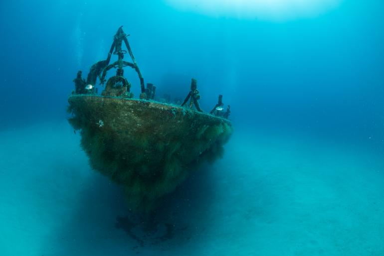 Wrack P31: Speziell für Tauchgänge wurde ein ausgedientes Minensuchboot vor der maltesischen Küste versenkt. Nikon D810 | 15mm | 1/125 s | f/11 | ISO 400