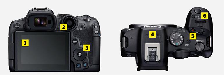 Canon EOS R7 im Detail