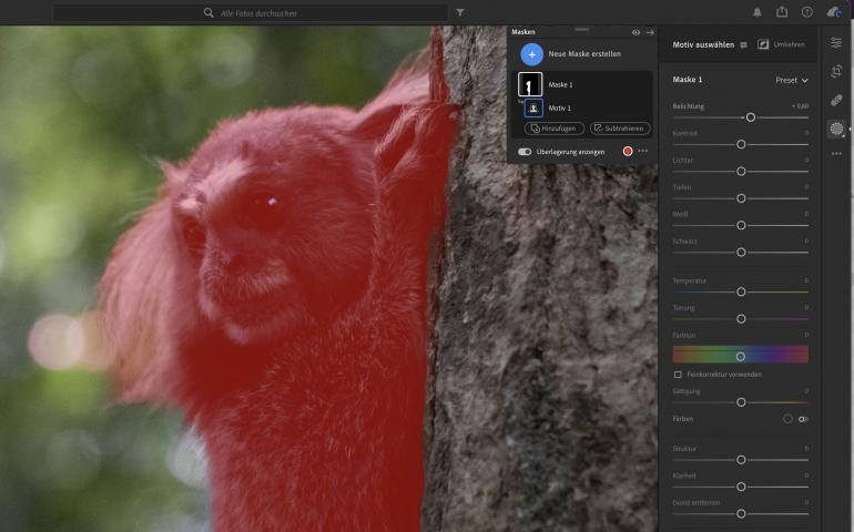 Die Motivauswahl der Masken funktioniert hervorragend.