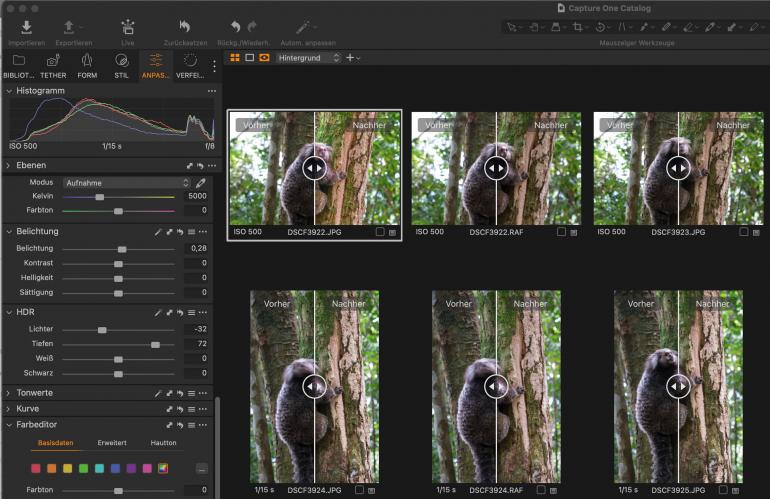 Raffiniert – die parallele Korrektur beliebig vieler Motive in Capture One.