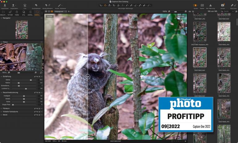 Capture One Pro 2022 Testergebnis.