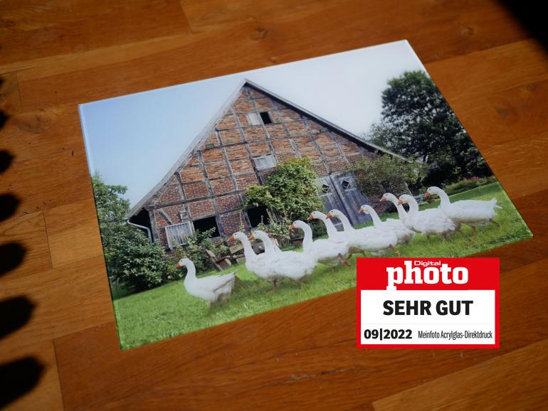 Meinfoto.de Acrylglas Testergebnis