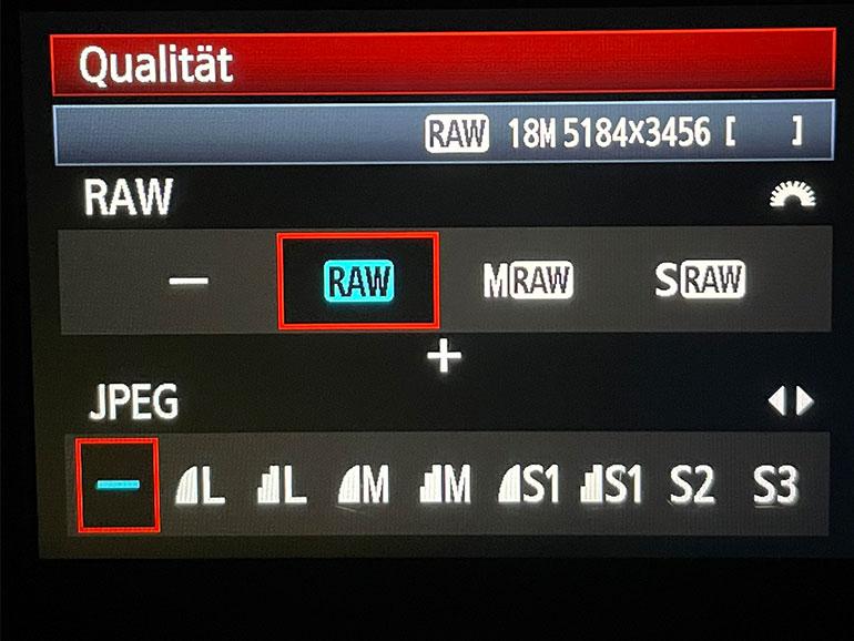 Um RAW als Aufnahmeformat in Ihrer Kamera einzustellen, navigieren Sie (bei den meisten Menüs) zu der Option Bildqualität.