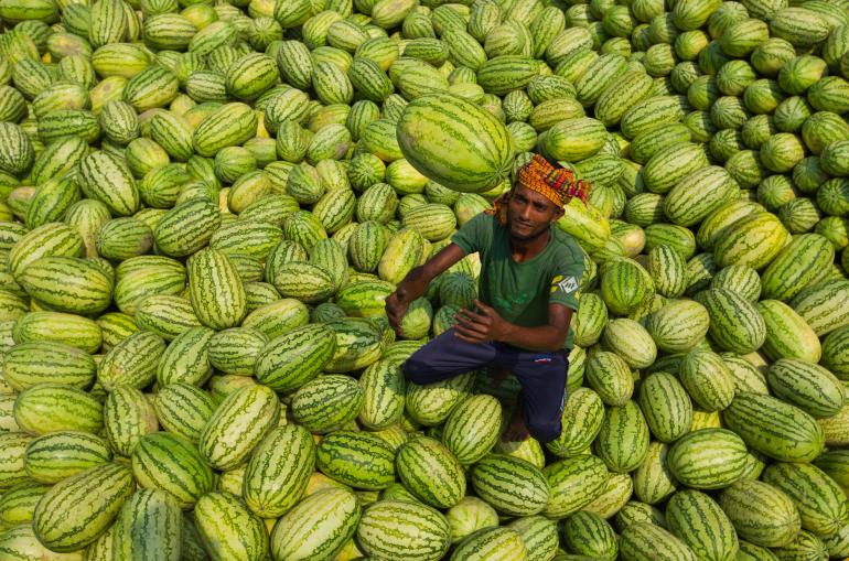 Watermelons worker 