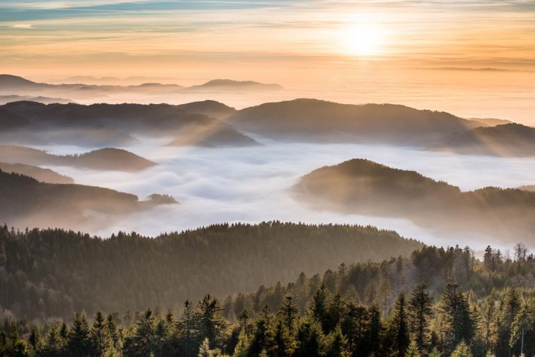 Bodennebel: Dichter Bodennebel füllt die Täler des Schwarzwaldes aus – ein tolles Fotomotiv.