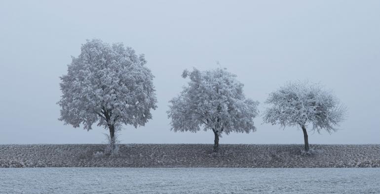 Winterfotos entstehen ausschließlich in den Alpen? Mitnichten! Auch im Flachland können frostige Motive festgehalten werden – wenn das Wetter stimmt. Nikon D7200 | 200mm | 1/125 s | f/10 | ISO 400