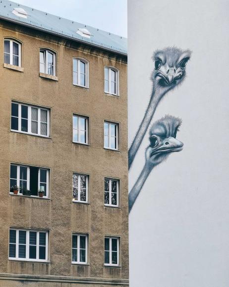 Eine Fassade in Berlin-Friedrichshain, die von allen Seiten mit Vogel-Strauß- Motiven gestaltet wurde, macht dieses Bild zum Hingucker.