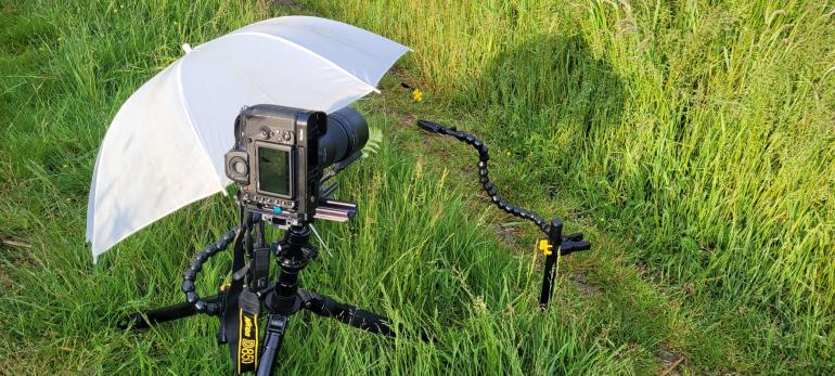 Technik: Für seine extrem scharfen Makroaufnahmen benutzt Sven immer ein Makroobjektiv, ein Dreibeinstativ und einen Makroschlitten.