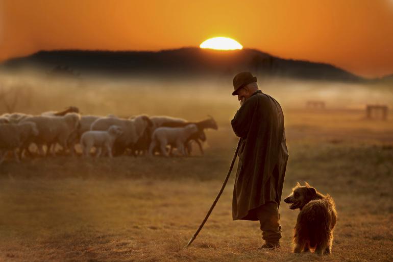 2015: Platz 3 | Kategorie: Landschaft | Nikon D700 | Nikkor 4/500mm | 1/160s | f/4 | ISO 200