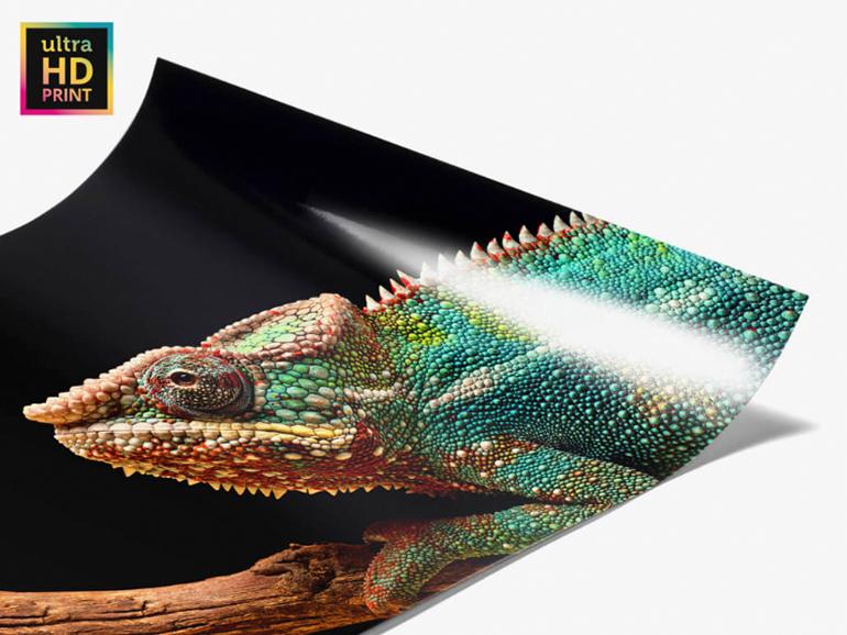 Noch mehr Details mit ultraHD: Jeder Fotoabzug ist nur so gut, wie das Papier auf das er ausbelichtet wird. Mit dem ultraHD Abzug wird die Farbwiedergabe und Detailzeichnung perfektioniert.