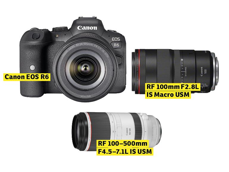Canon EOS-R6-Kit