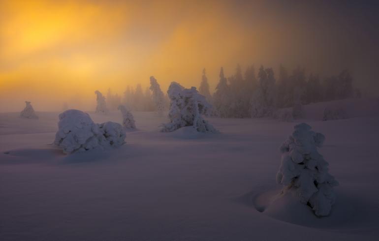 Magischer Nebel: Schnee und Nebel auf dem Gipfel der Hornisgrinde im Nordschwarzwald. Nikon D850 | 26mm | 1/8 s | f/7,1 | ISO 64