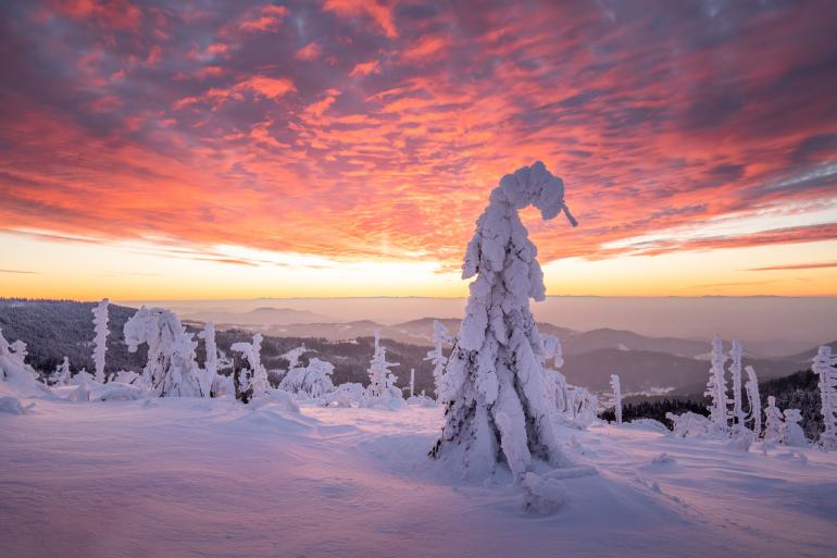 Schneelandschaft mit Abendrot im Schwarzwald – wie Sie schon im Vorfeld solche Motivmöglichkeiten erkennen bzw. vorhersagen können, zeigt dieser Artikel. Nikon D850 | 26mm | 1/8 s | f/7,1 | ISO 64