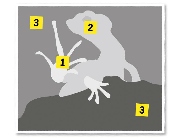 Grüner Basilisk Skizze