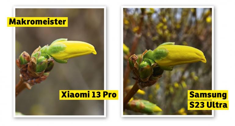 Links: Brillant, fix fokussiert und schickes Bokeh mit dem Xiaomi 13. Rechts: Mit satten Farben geht das Samsung S23 Ultra ins Rennen.