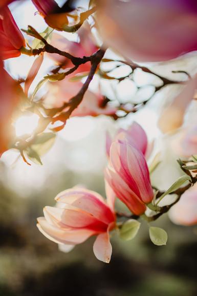 Canon EOS 5D Mark III | 50mm | 1/160 s |f/1,8 | ISO 100