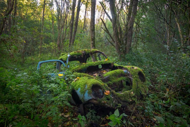 Ein blauer VW Käfer im grünen Dickicht: Das damals im Wald entsorgte Automobil hat über die Jahre seine ganz eigene Lackierung bekommen. Die Natur hat einen grünen Moosteppich über das Fahrzeug gelegt, sodass dieses Wrack mit dem Wald verschmilzt. Entdeckt und festgehalten in Baden-Württemberg. Canon EOS 70D | 14mm | 1/20 s | f/5,6 | ISO 320